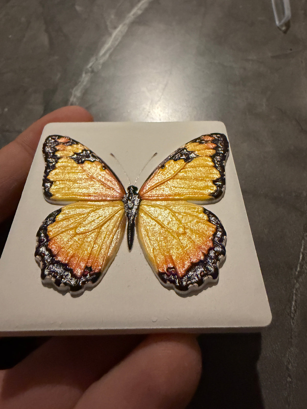 Schmetterling Keramikmagnet – Originalfoto Reliefdetail
